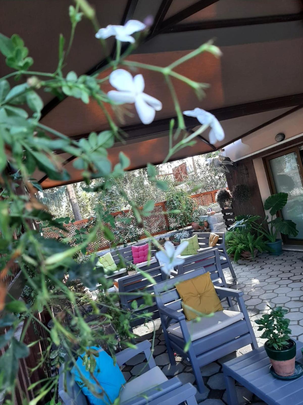 Denge Homes Nicosia Esterno foto